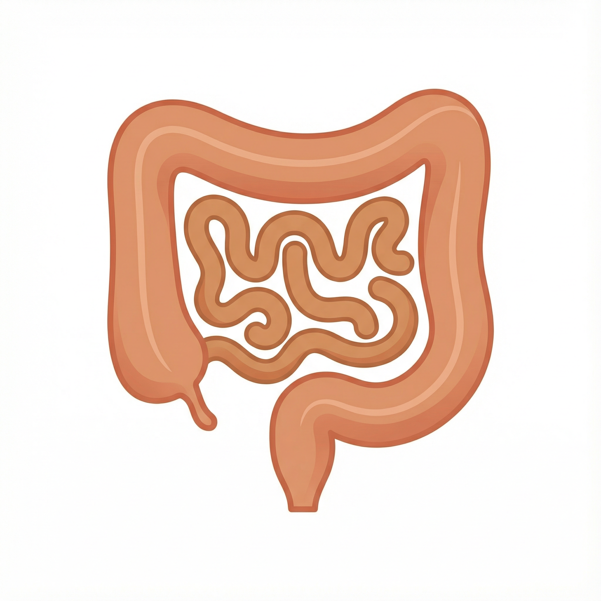 Ícone Intestino